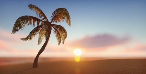 Tropical Palm Tree Swaying At Sunset Animation