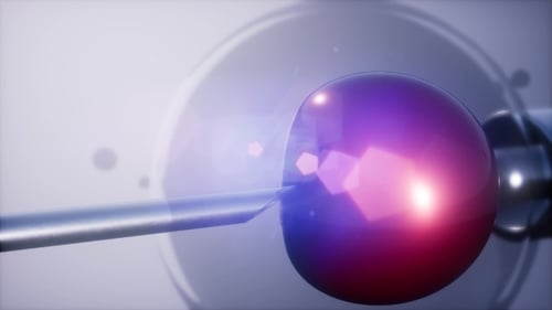 Artificial Insemination