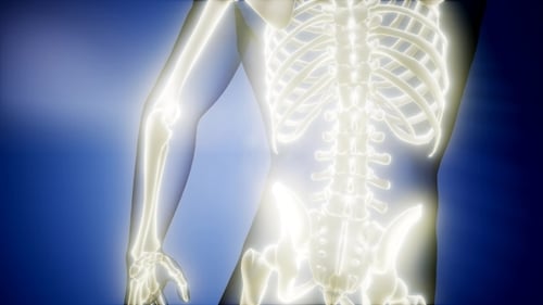 Human Bones Radiographic Scan