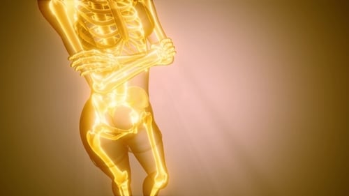 Human Bones Radiographic Scan