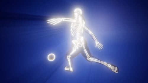 Soccer Game Player