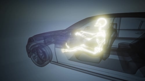 Driver with Visible Bones