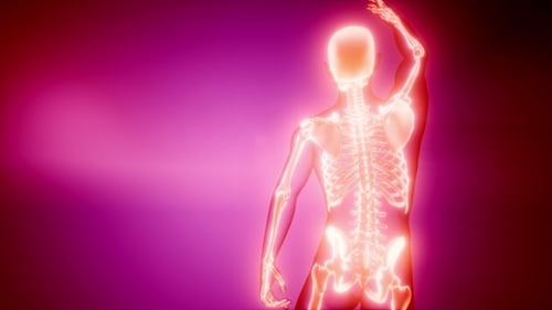 3D Human Skeleton Medical X-Ray Scan Animation