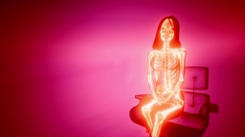 3D X-Ray Scan of Female Body with Internal Organs