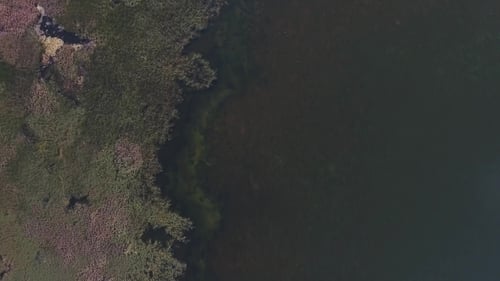 Flying Over the Salty Lake Contaminated with Waste