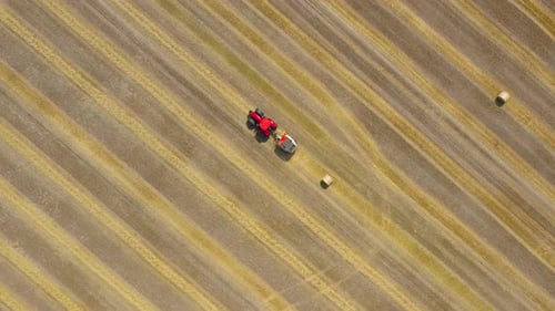 Aerial View of Haymaking Processed Into Round Bales