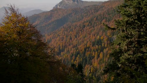 Cloudy mountains and forest in autumn.