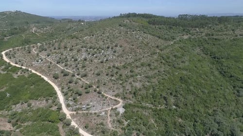 Aerial View Highland with Plantation
