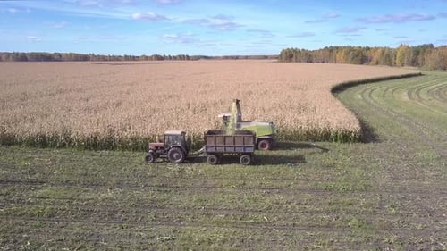 Upper View Tractor with Trailer Gathers Harvested Corn Mass