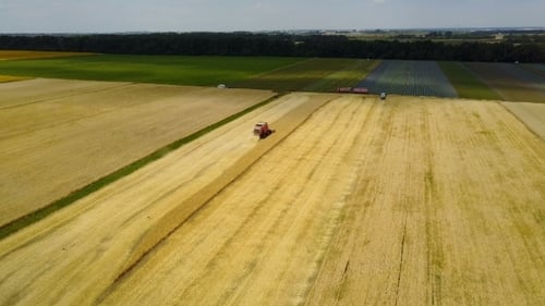 Combine Harvester On A Wheat Field