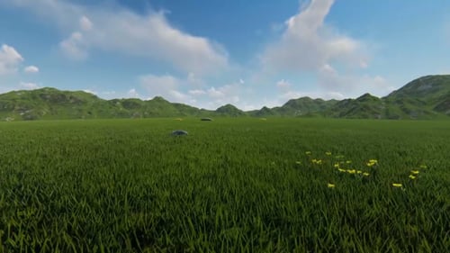 Flying Through Green Grass Field Landscape