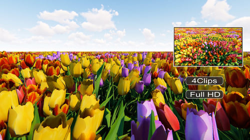Tulip Field Pack