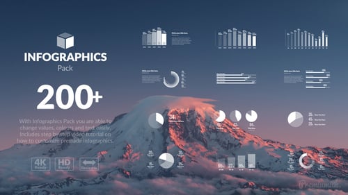 Modern Animated Infographics Kit for Data Visualizations