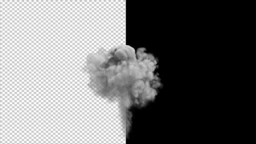Dynamic White Smoke Cloud Reveal Element