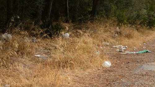 Garbage in a Forest