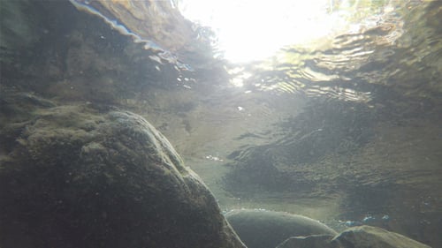 À l'intérieur d'une rivière