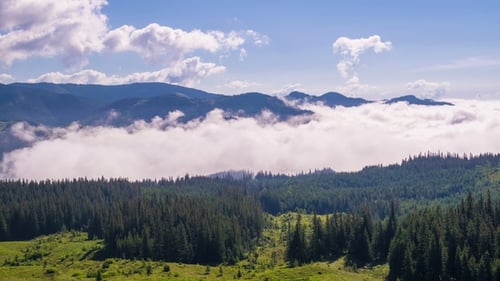 Fog Moving Through Mountain Valley Landscape