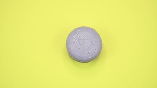 Single Purple Macaron Cookie Still Life on Yellow