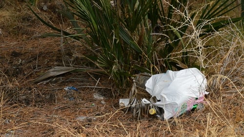 Bolsas de basura en un bosque