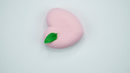 Heart Shaped Mousse Cake With Leaf
