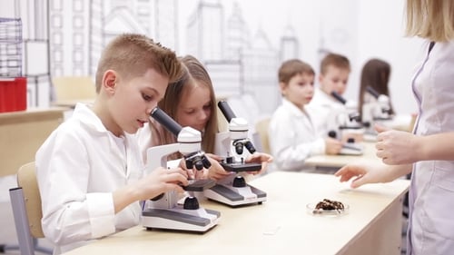 Modern Biology Lesson in Elementary School