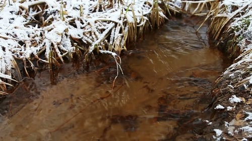 Spring Little Stream Among the Winter Snow Set Landscape