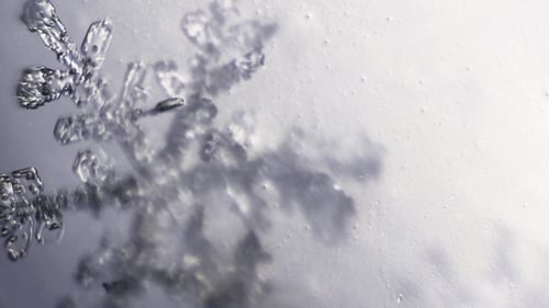 Rack Focusing Across Crystal Branches of Snowflake