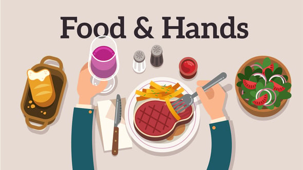 Food & Hands Explainer, Product Promo ft. animation & create - Envato