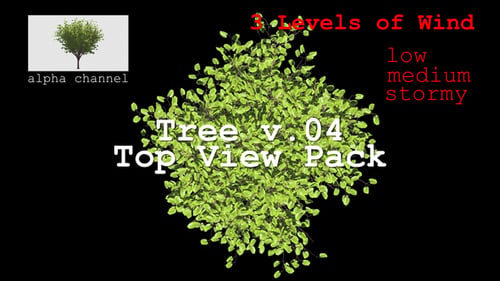 Tree v. 04 Draufsichtspaket