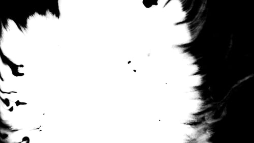 Beautiful White Watercolor Ink Drops Transition on Black Background, Paint Bleed Bloom, with Circle