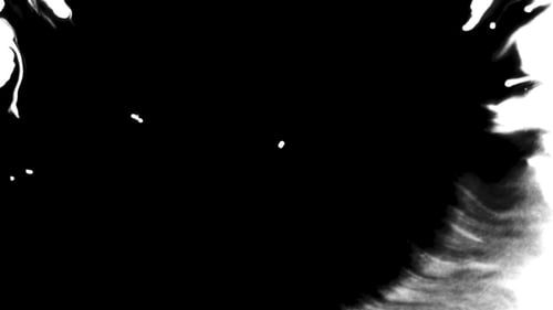 Beautiful White Watercolor Ink Drops Transition on Black Background, Paint Bleed Bloom, with Circle