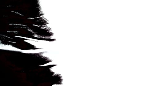 Beautiful White Watercolor Ink Drops Transition on Black Background, Paint Bleed Bloom, with Circle