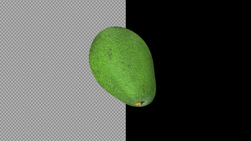 Aguacate 3d
