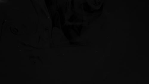 Abstract Black Ink Spreading on White Surface