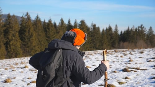 Side View of Young Hiker with Backpack and Stick in Hand Climbing on Snowy Hill in Field