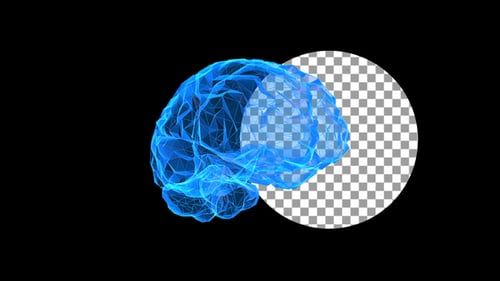 Low Poly Brain Loop Background