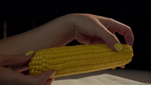 Woman Holding Fresh Ear of Yellow Corn