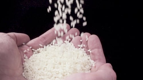 Rice Pouring into Cupped Hands on Black Background