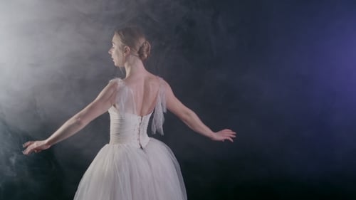 Ballerina Dances Gracefully in Dreamy Hazy Smoke