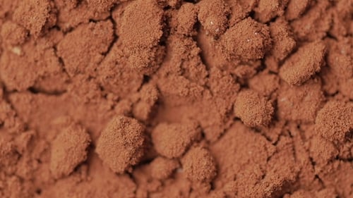 Cacao Powder