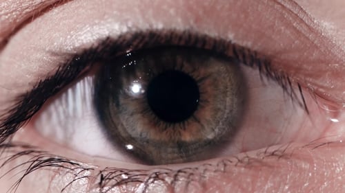 of a Beautiful Young Woman's Green Eye. of Green Human Eye. Green Eye Very Closer. Human Ey