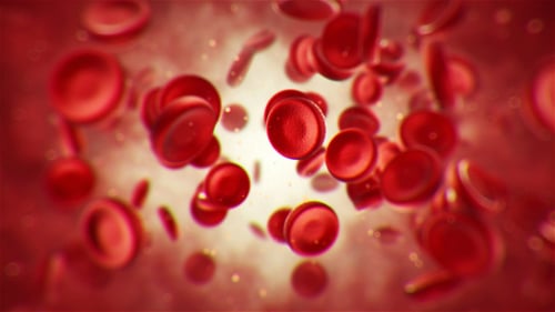 Fond de globules rouges