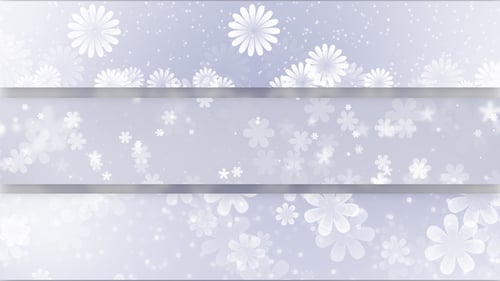 Weiße Blumen-Hintergründe