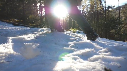 Low Angle View of Young Guy Jogging on Snow Slope in Mountain Pine Forest. Male Tourist Running Up