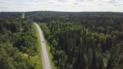Weißes Auto fährt auf Landstraße im Wald
