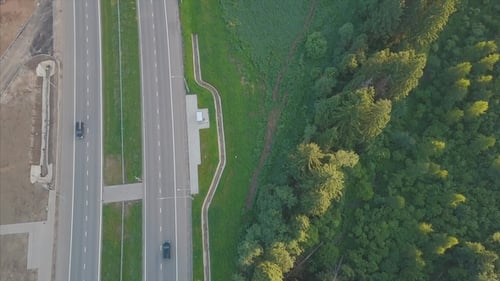 Highway Road Between Trees. Aerial View of Truck Driving at Highway Road at Green Forest