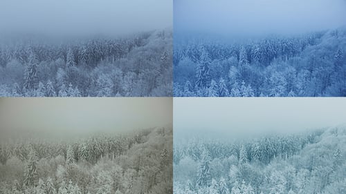 Flying on Clouds and Mist over Snowy Pine Trees Forest