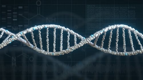 Dynamic 3D DNA Helix Animation for Science and Technology