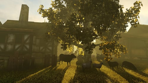 Street Of The Old City