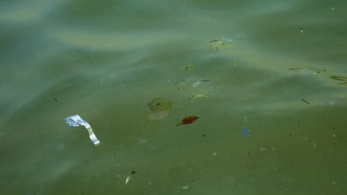 Schmutziges verschmutztes Wasser an der Küste